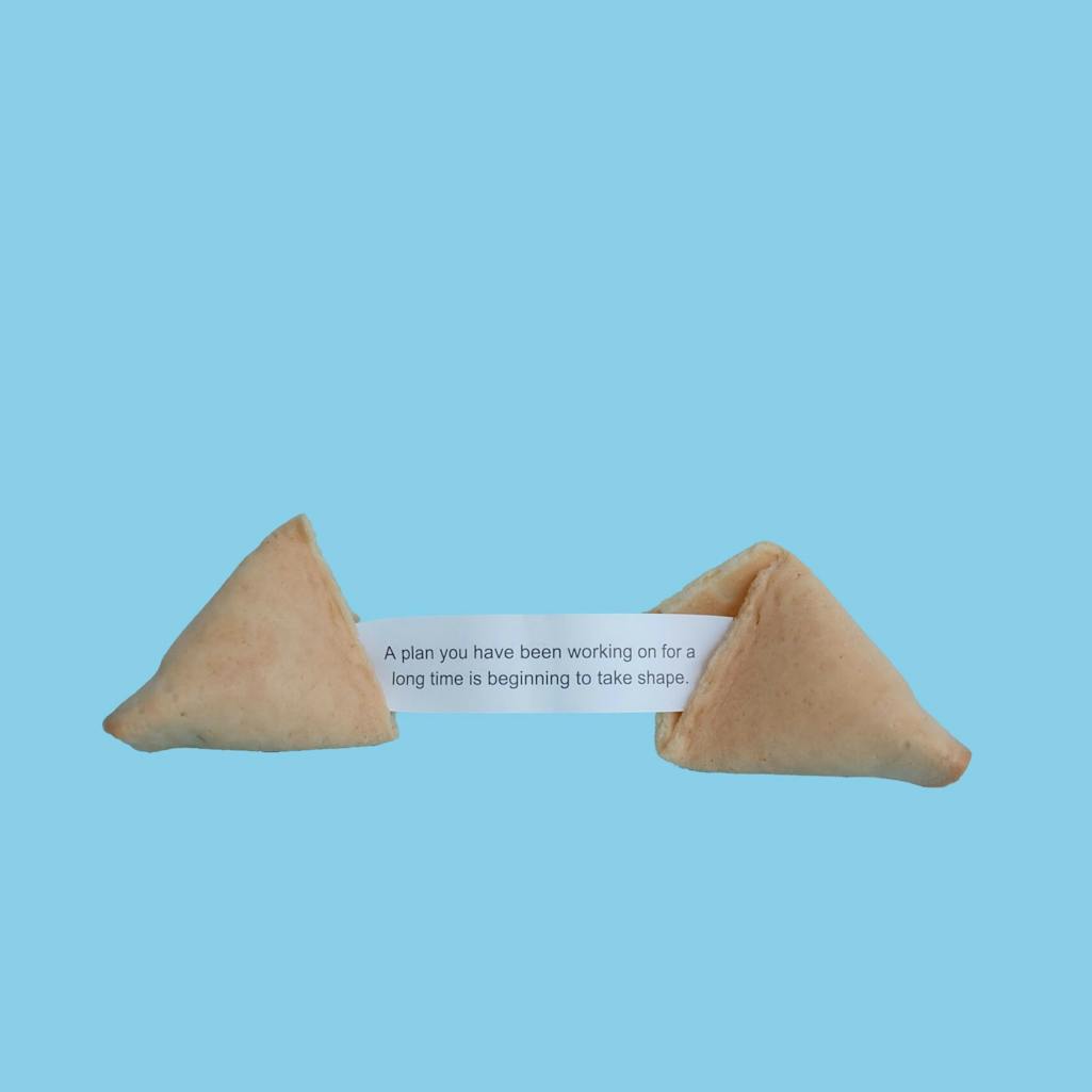 fortune cookie